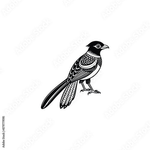 Elegant Trogon vector  silhouette