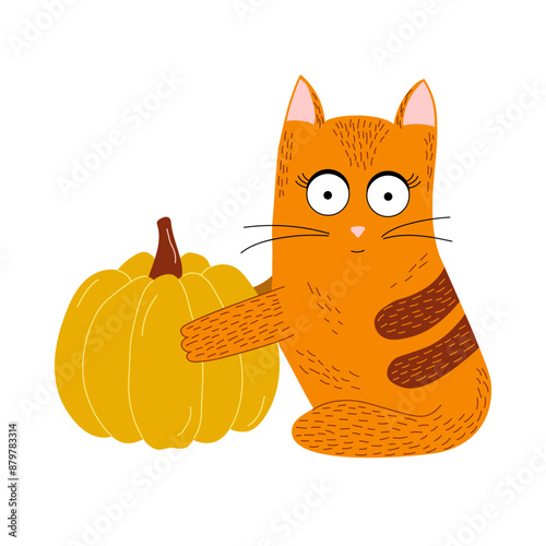 Red cat sits and holds a pumpkin in its paws, isolated vector illustration