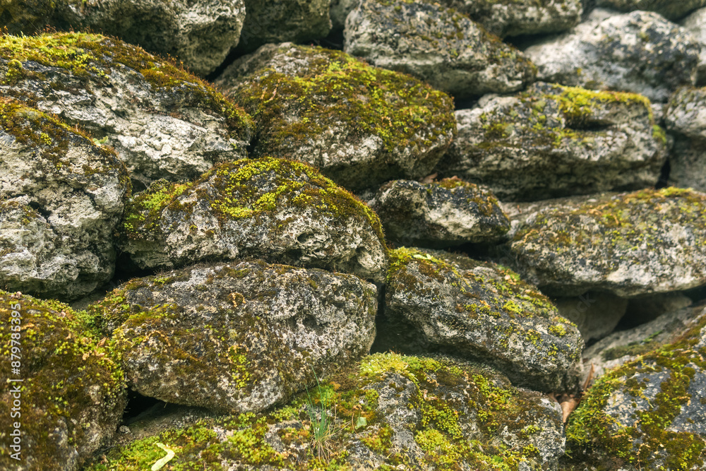 Stone wall covered with green moss and lichen. Natural background. Stone wall covered with green moss and lichen. Natural background.