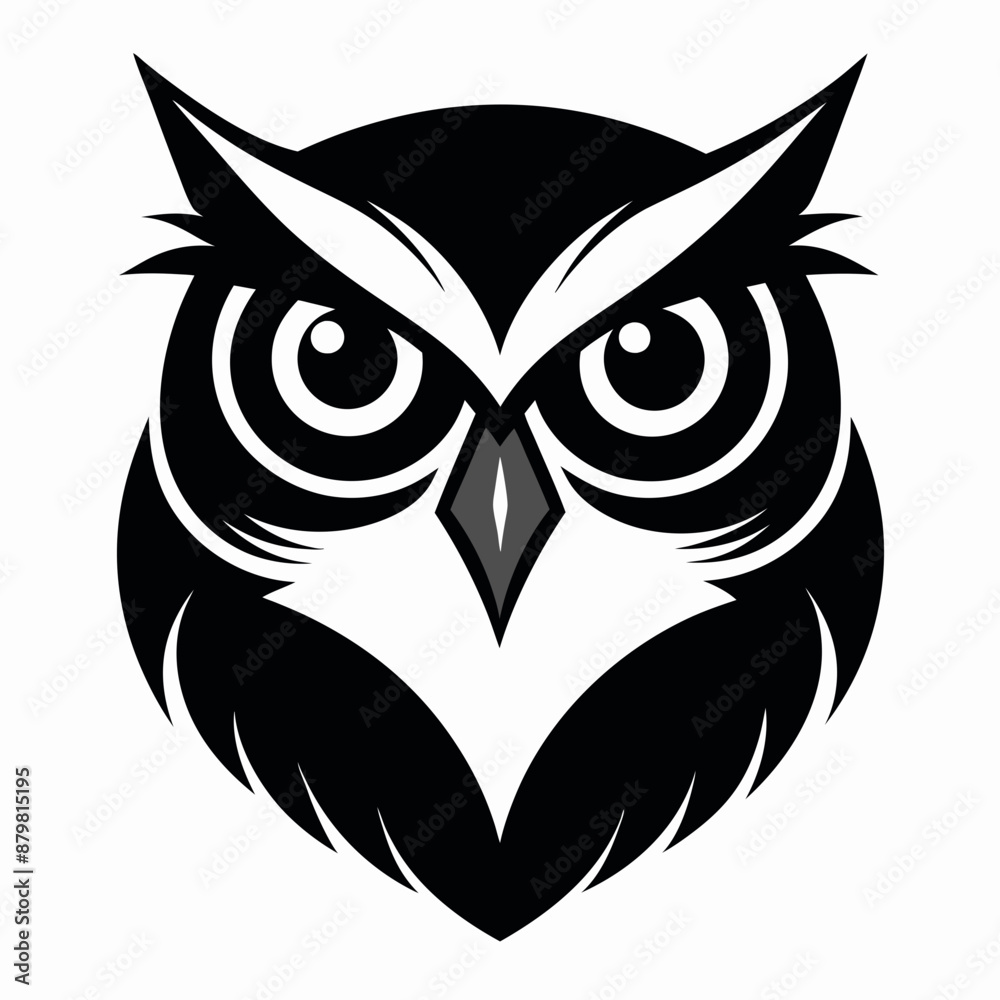 Obraz premium owl vector and illustration
