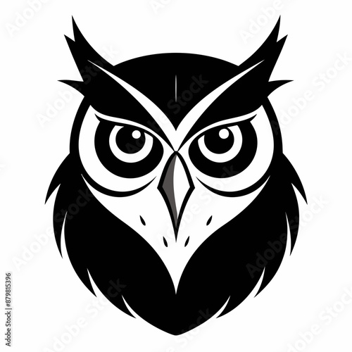 owl vector and illustration