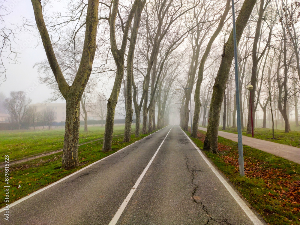 Fototapeta premium road in the fog