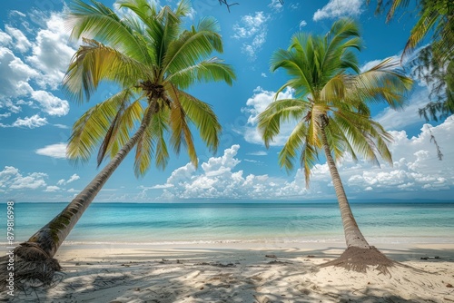 Fototapeta Naklejka Na Ścianę i Meble -  Two palm trees are on a beach with a blue sky in the background