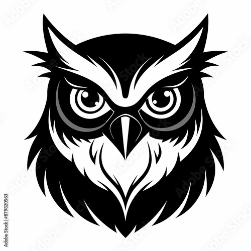 owl vector and illustration