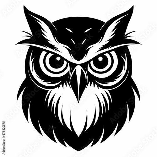 owl vector and illustration