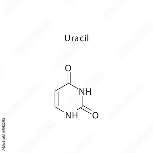 Uracil skeletal structure schematic illustration, Pyrimidine nucleobase molecule.