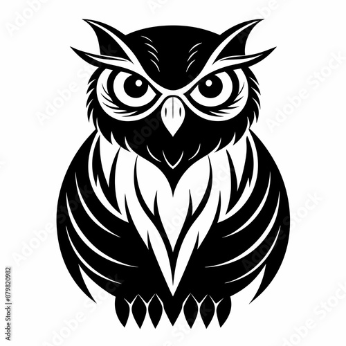 owl vector and illustration