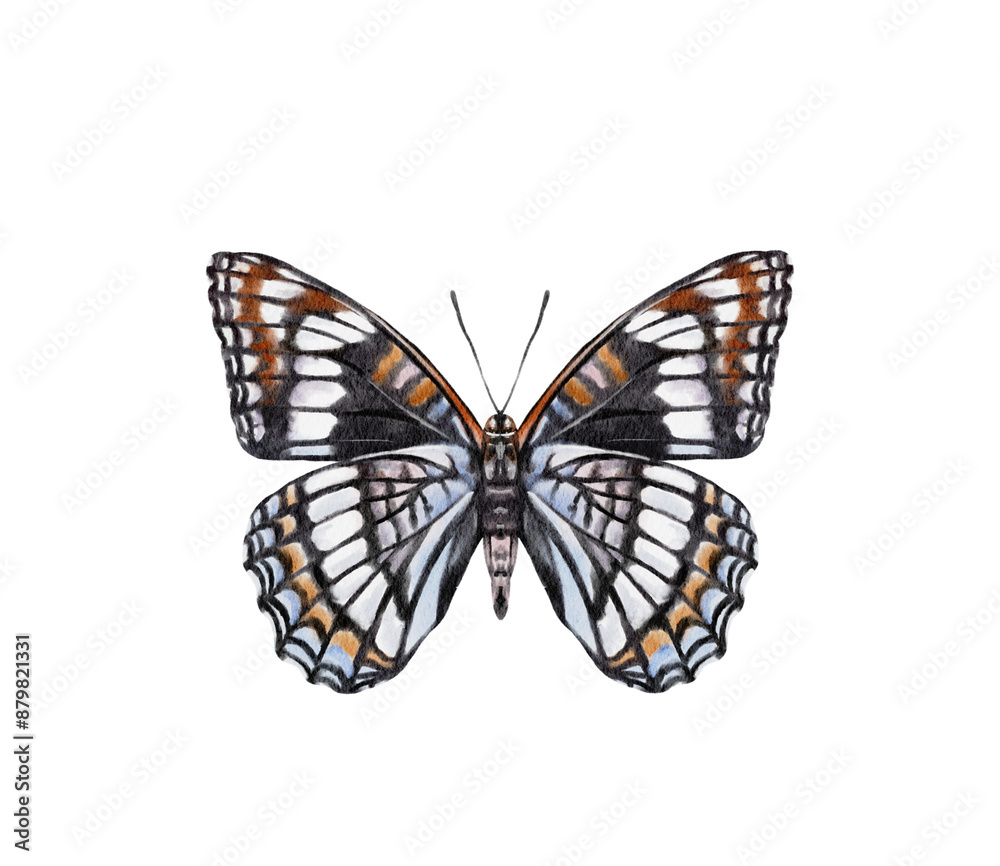 Obraz premium Watercolor colorful butterflies, isolated on white background. blue, yellow, pink and red butterfly spring 