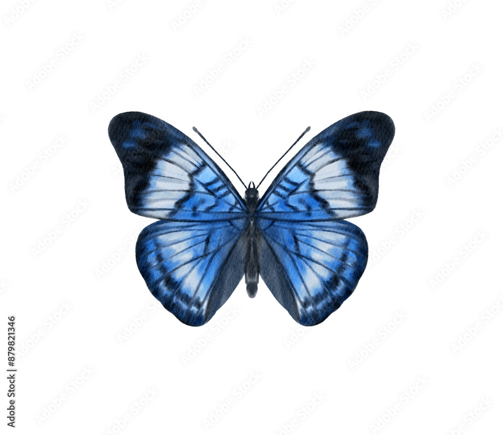 Fototapeta premium Watercolor colorful butterflies, isolated on white background. blue, yellow, pink and red butterfly spring