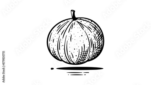 Watermelon vector. Watermelon with red flesh is halved isolate on a white background.
