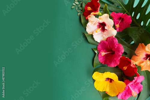 Fototapeta Naklejka Na Ścianę i Meble -  Tropical border of flowers and leaves, summer vacational background