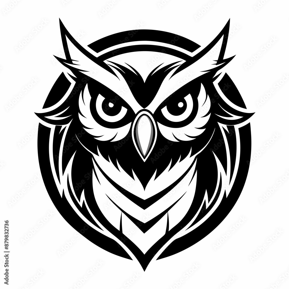 owl vector and illustration owl vector and illustration