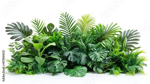 Lush green tropical plants on white background, dense foliage, large leaves, intricate textures, rich green shades, macro lens, morning, hyper-realistic, natural lighting.