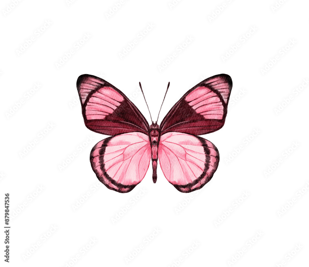 Fototapeta premium Print