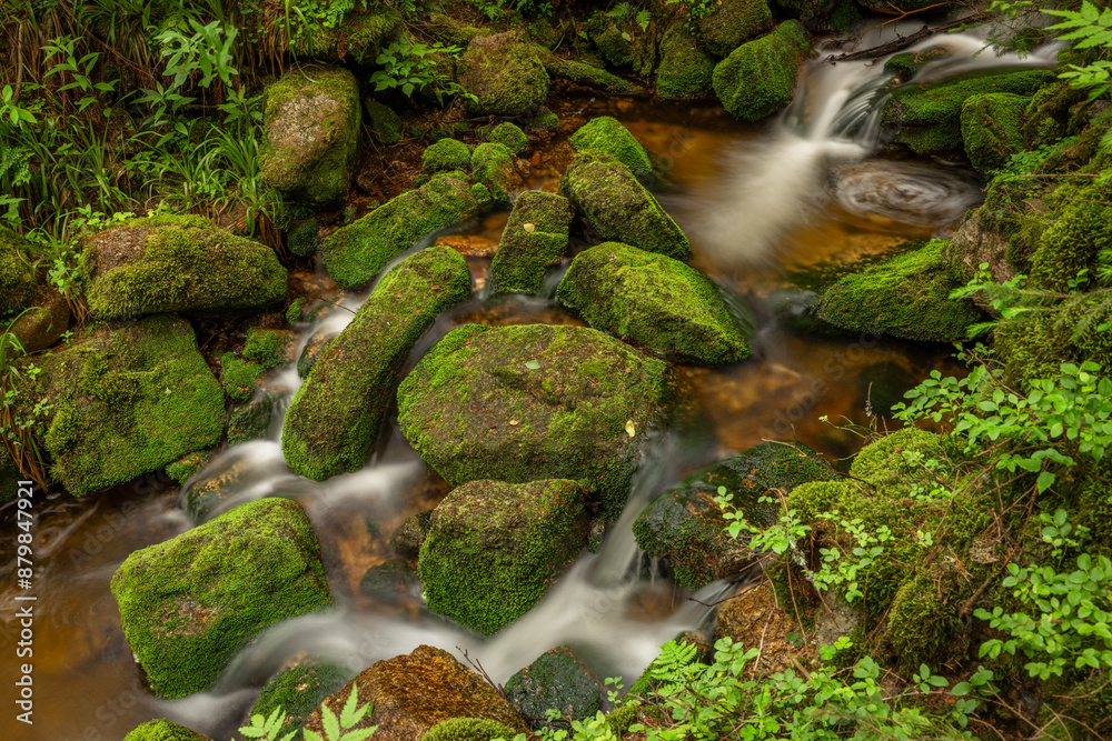 Stribrny creek in Krusne mountains in hot summer day Stribrny creek in Krusne mountains in hot summer day
