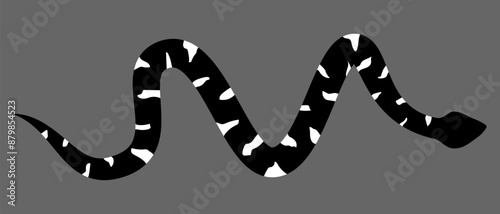 Black and white silhouette snake. Isolated symbol on grey background. Zig zag reptile vector illustration. Dangerous wildlife animals in garden. Black snake with white spots. Eps 10 clipart draw. 