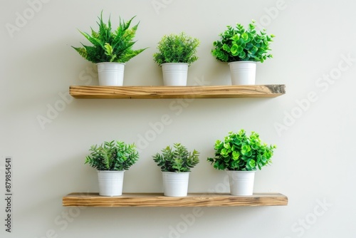 Small Shelf. Minimal Home Decoration with Green Plants on White Wall