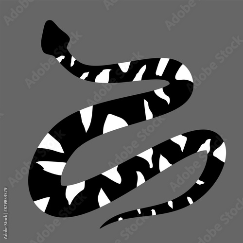 Black and white silhouette snake. Isolated symbol on grey background. Reptile vector illustration. Dangerous wildlife animals in garden. Black snake with white spots. Eps 10 clipart draw. 