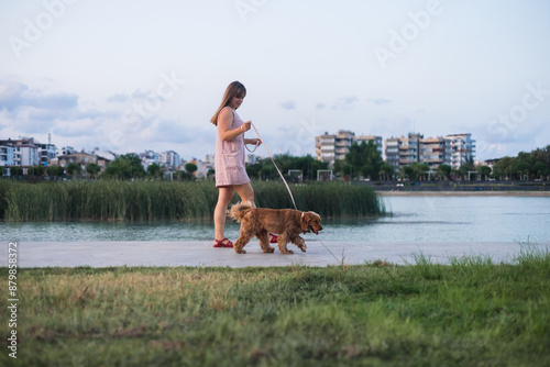 Woman is walking with cocker spaniel dog photo