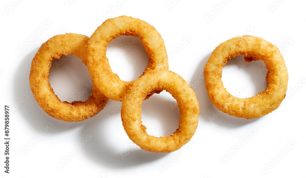 fried onion rings