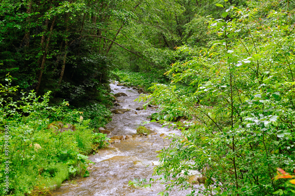 Mountain river with a rocky riverbed and green forest on the banks. Rainy cloudy weather. Mountain river with a rocky riverbed and green forest on the banks. Rainy cloudy weather.