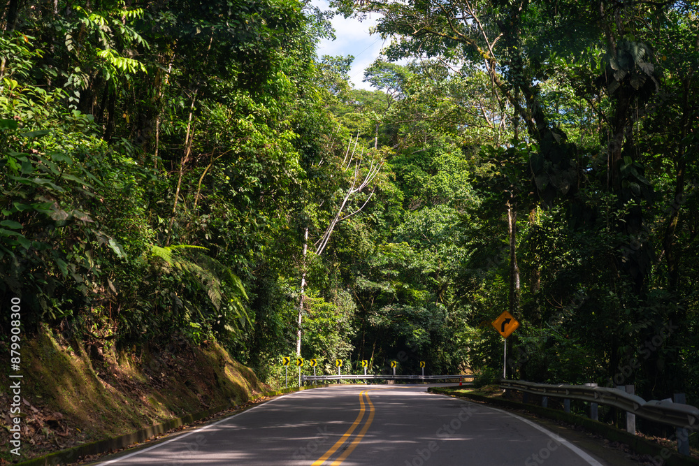 Colombian two-lane road between trees in a tropical jungle on a sunny day. Colombian two-lane road between trees in a tropical jungle on a sunny day.