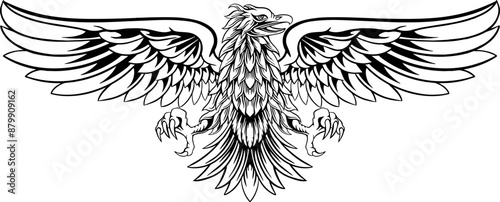 Eagle Line Art Illustration