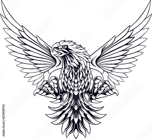 Eagle Line Art Illustration