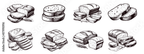 Bread sketches. Breads loaf cut toasts retro sketch drawing, vintage kitchen menu wheat grain rye cereal pastry engraving ink art set vector illustration