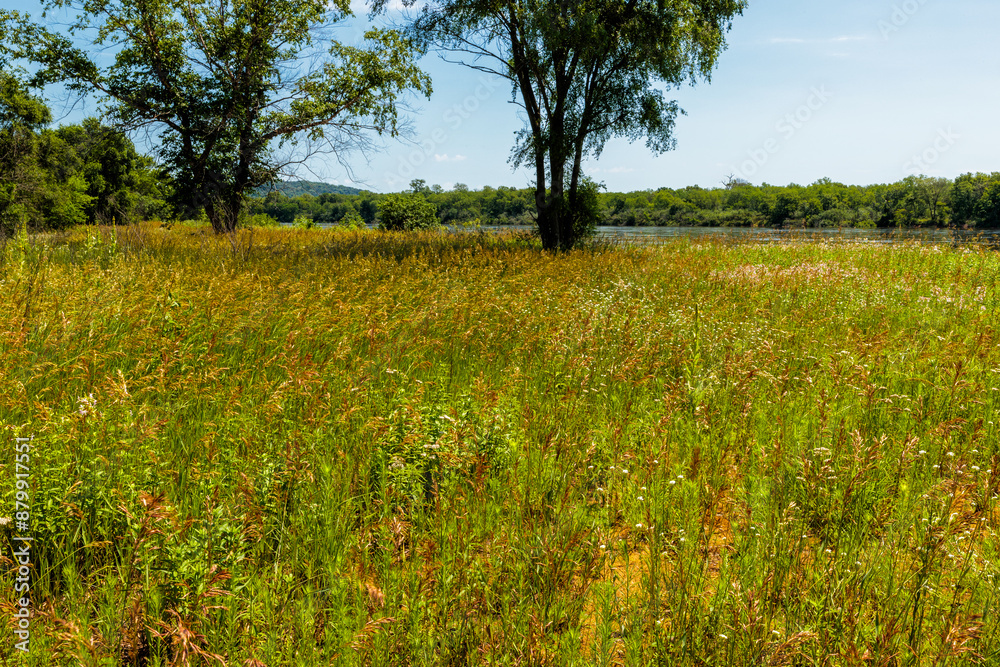 Fototapeta premium Looking past the field, the Wisconsin River meamders south of Sauk City, Wisconsin, hgh from recent rains, in late June