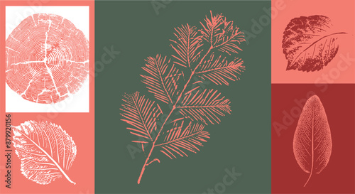 Decorative leaf silhouette prints and wood block prints. Monotone pink and green botanical tree rings impression print.
