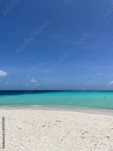 beach with sky