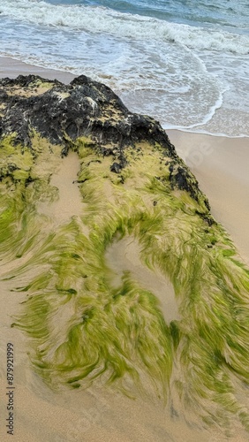 waves on the beach