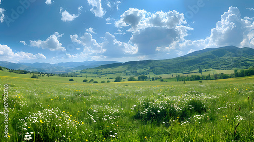 Wallpaper Mural view of Romania's stunning landscape. bright afternoon. Beautiful mountain scenery in the spring. undulating hills and a meadow. rural landscape Torontodigital.ca