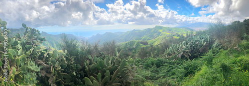 Foto Wild nature of Anaga relict forest, Tenerife, Spain
