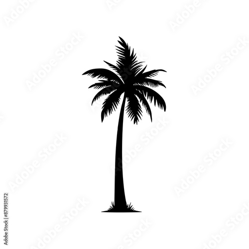 Palm tree black coconut icon. Palmetto beach black summer palm tree hawaii vector icon.