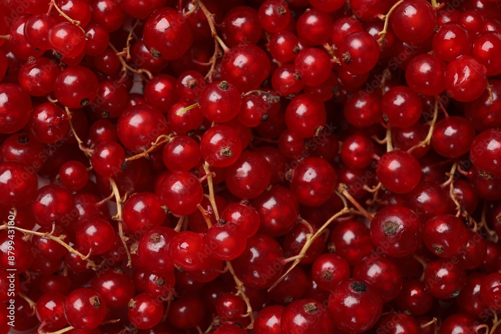 Fresh ripe red currants as background, top view Fresh ripe red currants as background, top view