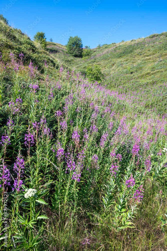 Obraz premium Belasitsa Mountain around Kongur peak, Bulgaria