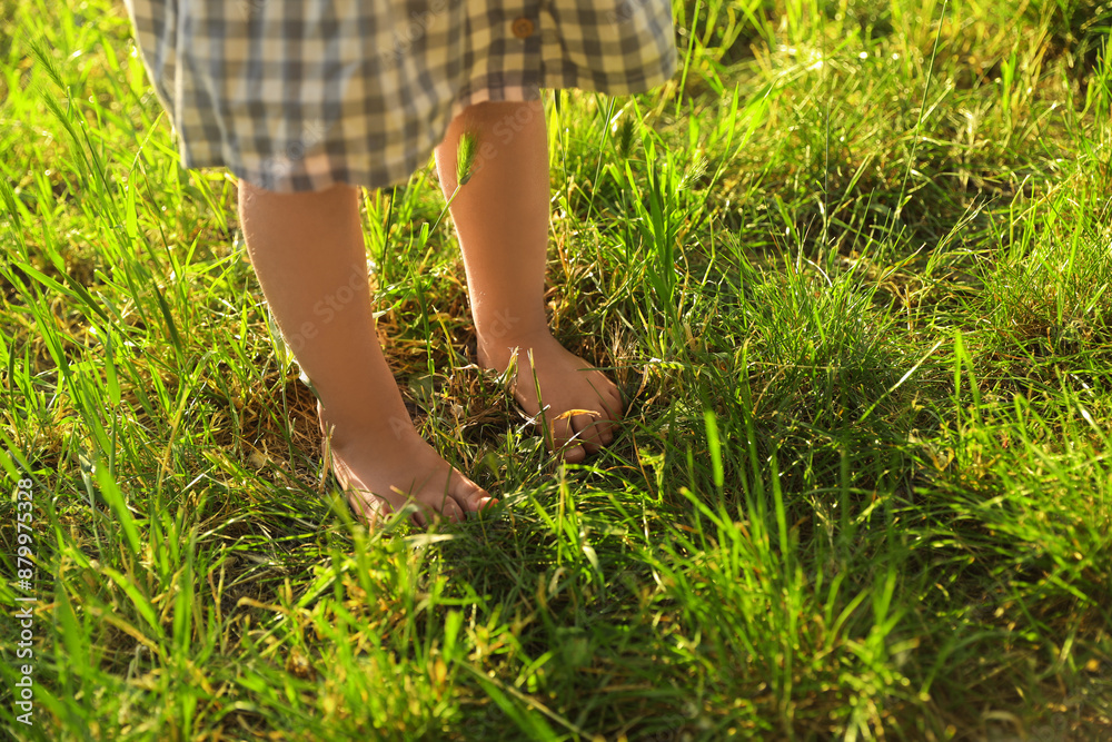 Child walking barefoot on green grass outdoors, closeup Child walking barefoot on green grass outdoors, closeup