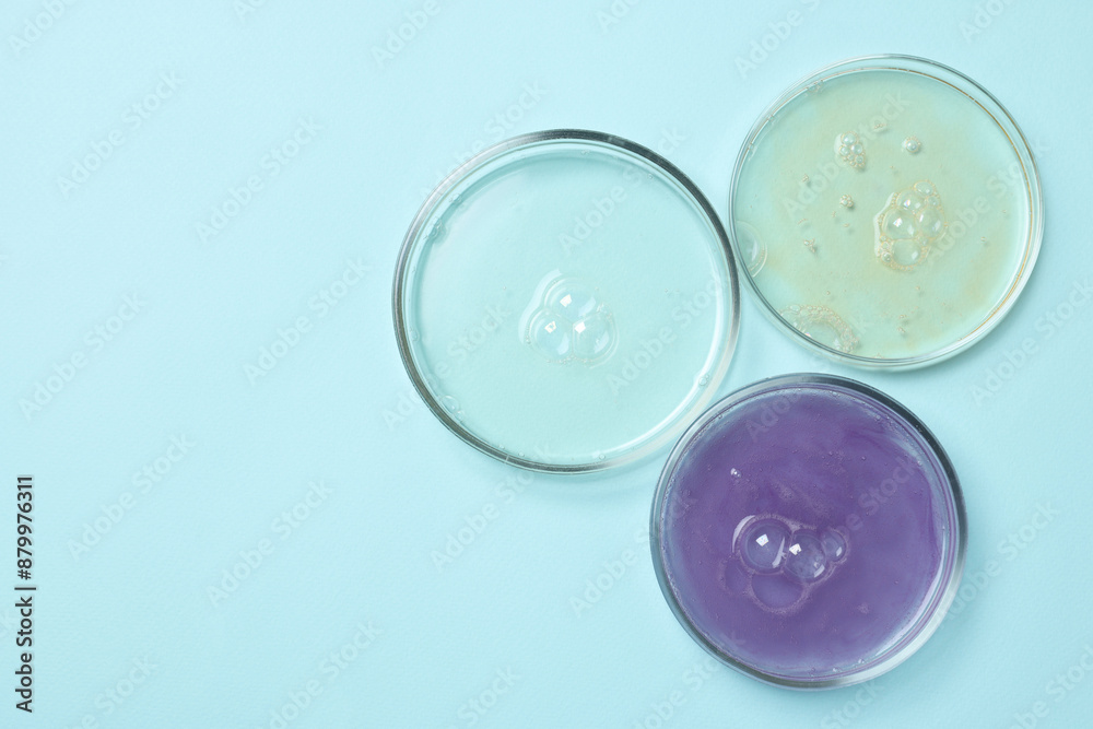 Petri dishes with samples on light blue background, top view. Space for text Petri dishes with samples on light blue background, top view. Space for text