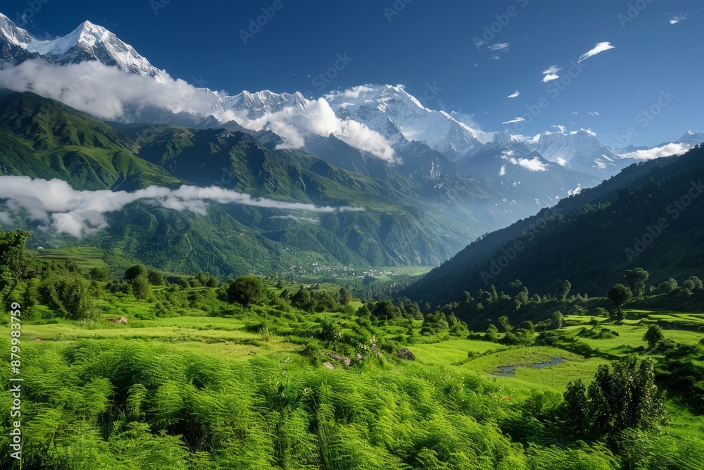 Obraz premium Green self-healing landscape