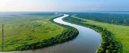 Aerial shot of a winding river cutting through a dense jungle, with clear blue skies above