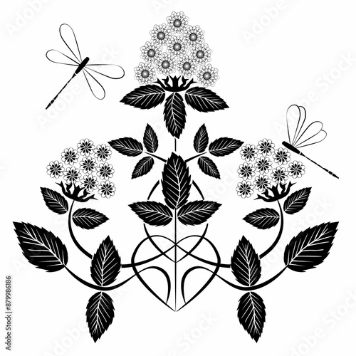 flowering plants with dragonflies