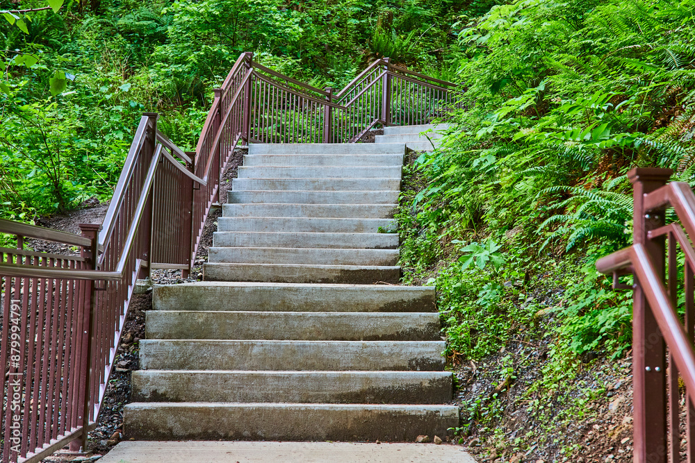 Fototapeta premium Concrete Staircase with Ornate Railings in Lush Forest Low Angle View