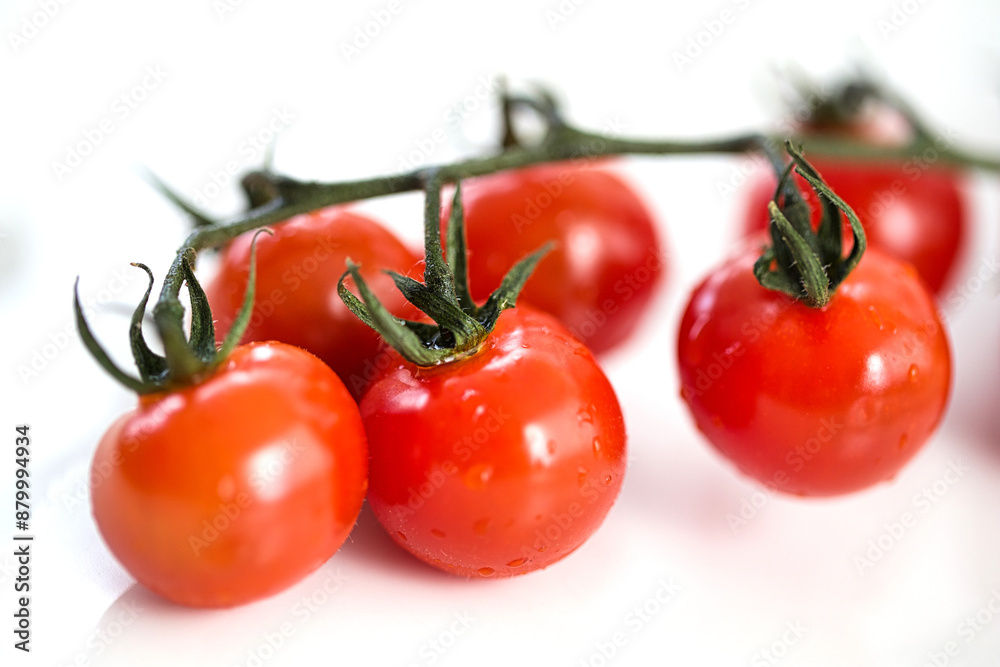 Close-up ripe cherry tomatoes still attached to the vine Close-up ripe cherry tomatoes still attached to the vine