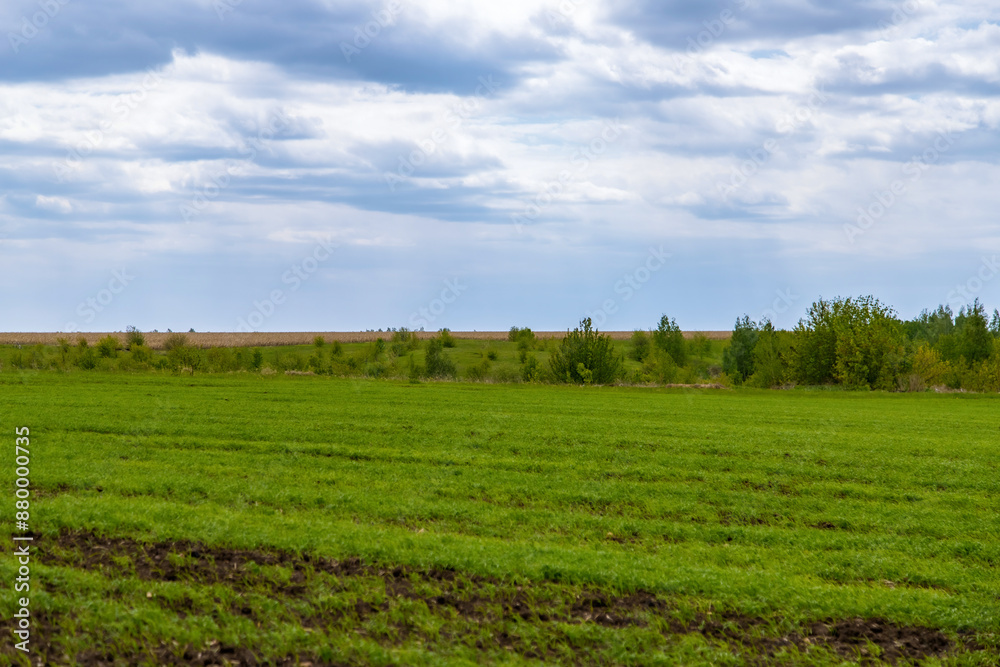 Rural places against a cloudy sky. A rustic landscape. Spring juicy foliage green. Blue sky. Rural places against a cloudy sky. A rustic landscape. Spring juicy foliage green. Blue sky.