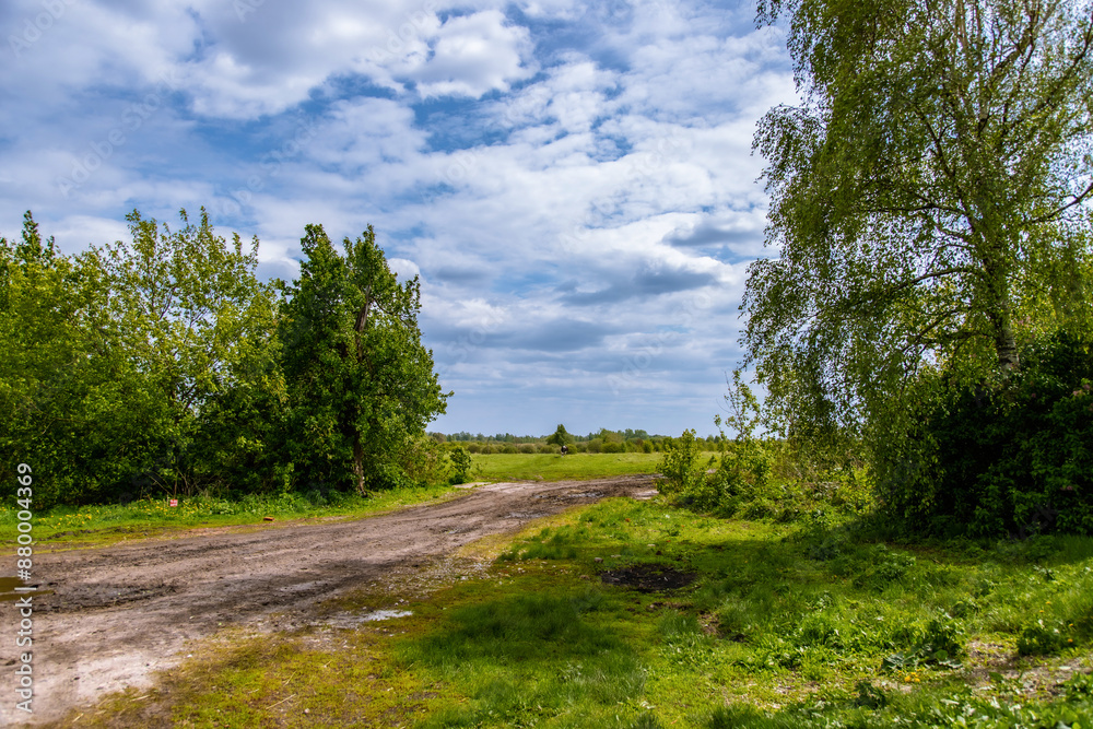 Obraz premium A rural road against a cloudy sky. A rustic landscape. Spring juicy foliage greens. Blue sky.
