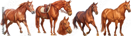 brown horse watercolor clipart