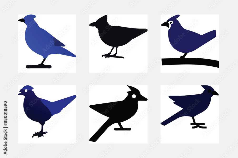 Fototapeta premium set of birds