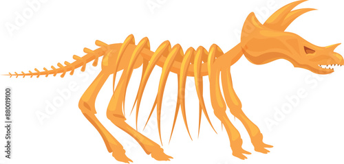 Triceratops dinosaur skeleton posing in museum paleontology exhibit